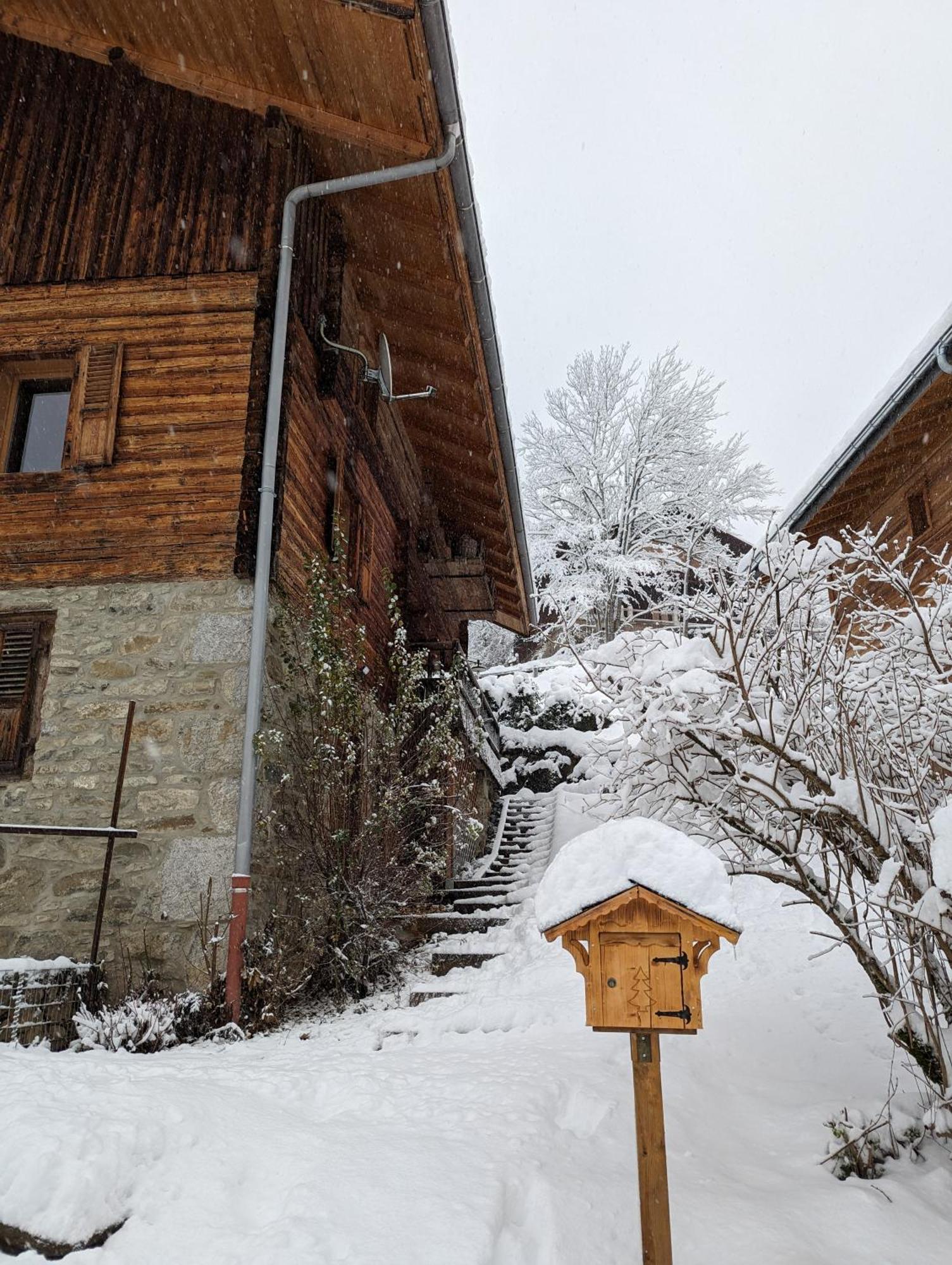 Bas De Chalet Au Coeur Des Aravis, Entre Lac Et Montagne Saint-Jean-de-Sixt Exterior photo